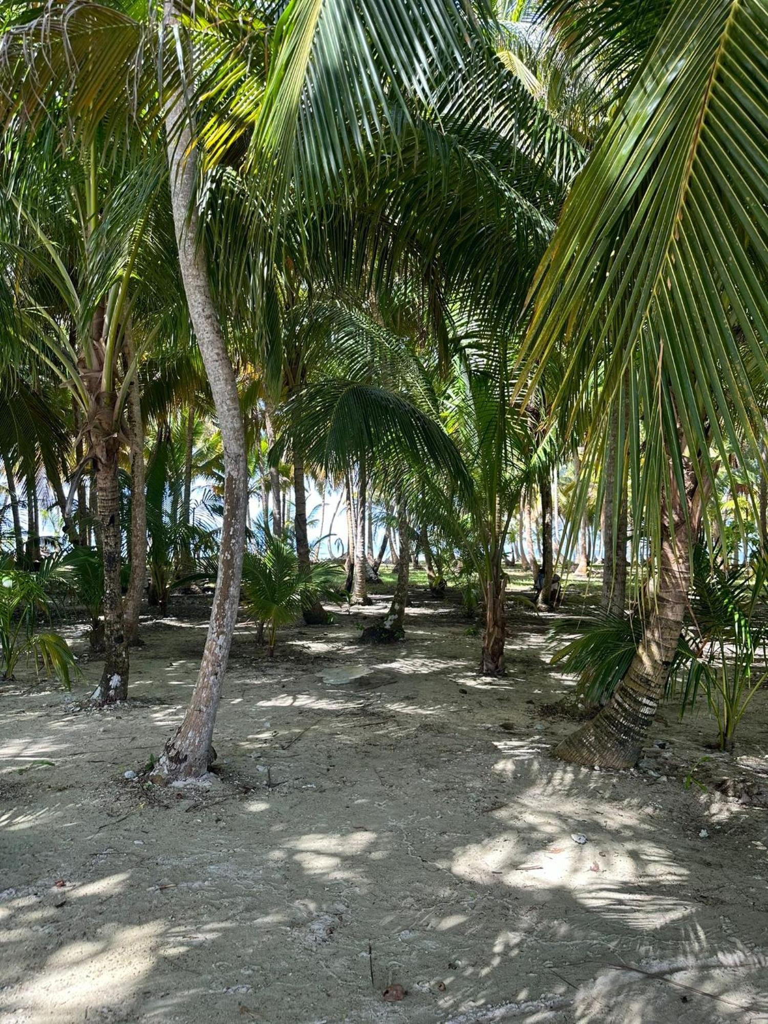 Cabanas Narasgandup Mamartupo Exterior photo